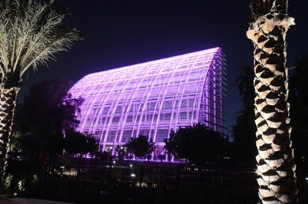 فيديو ... تعرف على أكبر وأجمل الحدائق في الإمارات - أبوظبي فيديو ... تعرف على أكبر وأجمل الحدائق في الإمارات - أبوظبي