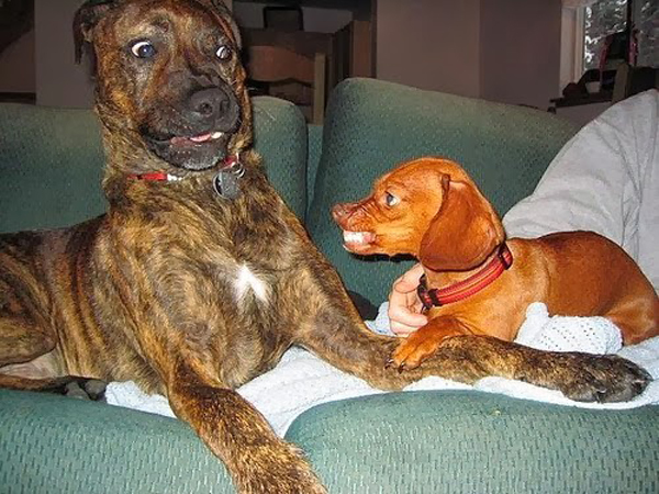 Oh Snap! 20 of the Most Perfectly Timed Images Oh Snap! 20 of the Most Perfectly Timed Images