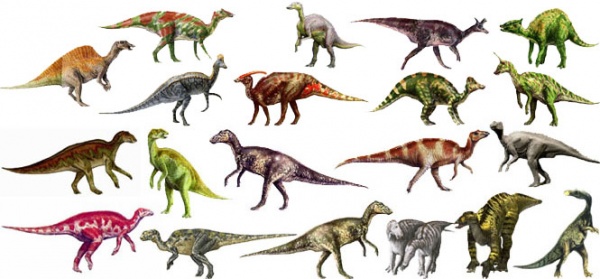 الطيور أصلها ديناصورات وتَطَلب تحولها 50 مليون سنة ! هل تصدق؟