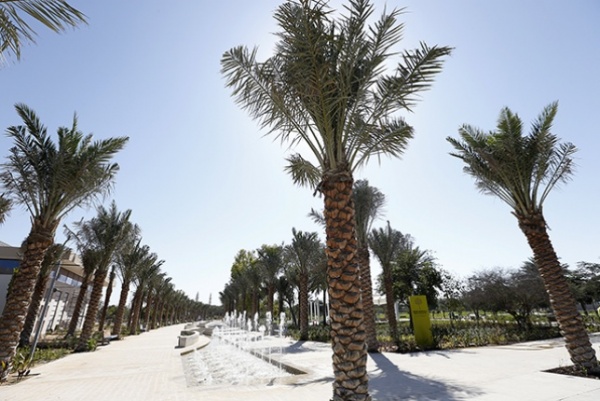 فيديو ... تعرف على أكبر وأجمل الحدائق في الإمارات - أبوظبي