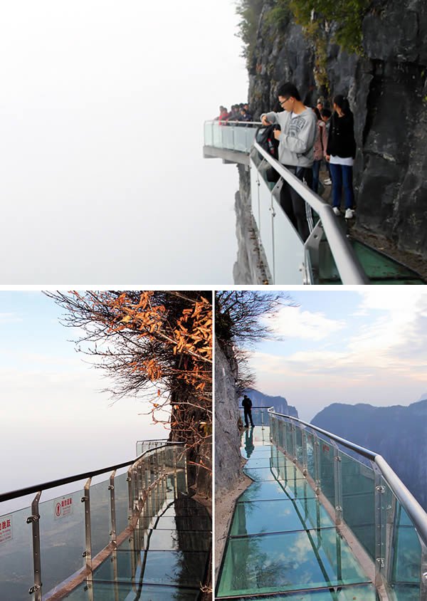 الجسور والممرات الأكثر إبداعا من حول العالم الجسور والممرات الأكثر إبداعا من حول العالم