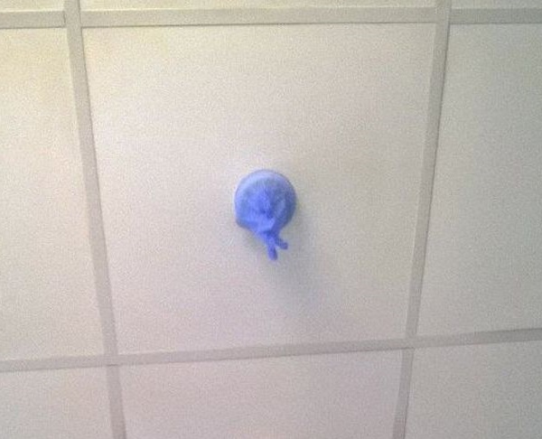 Grim and filth found in the UK Hospital in the riskiest unit Grim and filth found in the UK Hospital in the riskiest unit