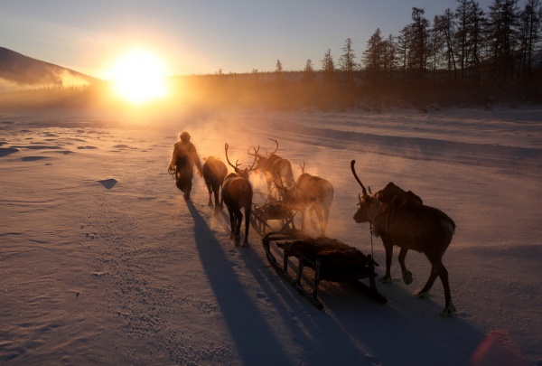 هل تتحمل العيش بدرجة حرارة 60 تحت الصفر؟ هل تتحمل العيش بدرجة حرارة 60 تحت الصفر؟