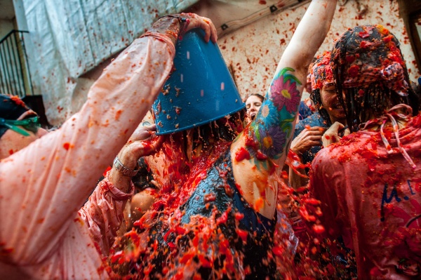 Tomato Battle WOW Tomato Battle WOW