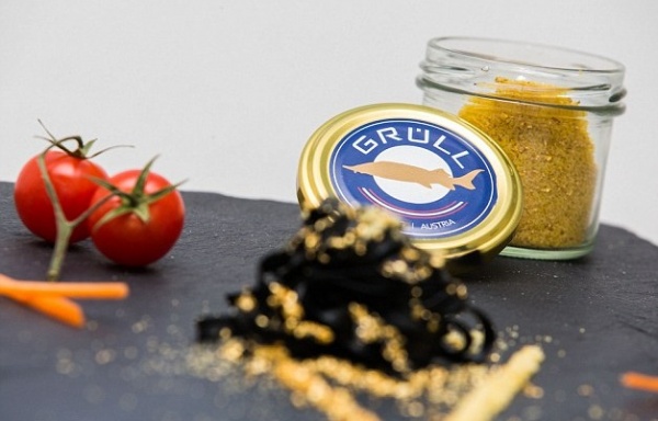 علبة الكافيار الأبيض علبة الكافيار الأبيض