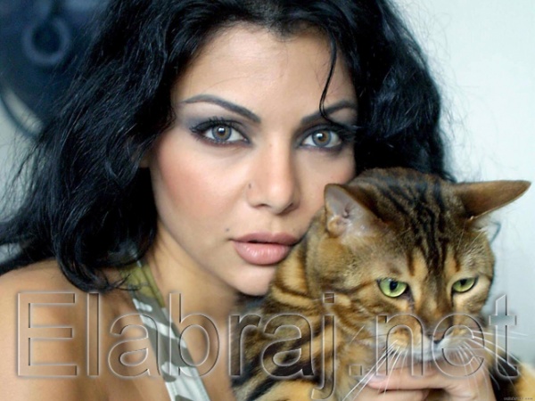 هيفاء وهبي الفنانة اللبنانية تتمني أن تكون مثل ” أحلام “ هيفاء وهبي الفنانة اللبنانية تتمني أن تكون مثل ” أحلام “