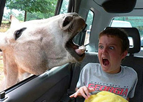 Oh Snap! 20 of the Most Perfectly Timed Images