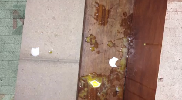 ما المشترك بين جاستين بيبر، جاره والبيض ؟ ما المشترك بين جاستين بيبر، جاره والبيض ؟