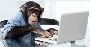 الورثة كبيرة والوريث قرد !! الورثة كبيرة والوريث قرد !!