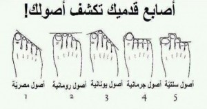 تعرف علي أصلك من شكل أصابع قدميك تعرف علي أصلك من شكل أصابع قدميك
